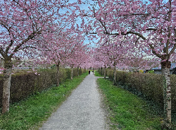 wetterlage heidelberg freitag - Article 3